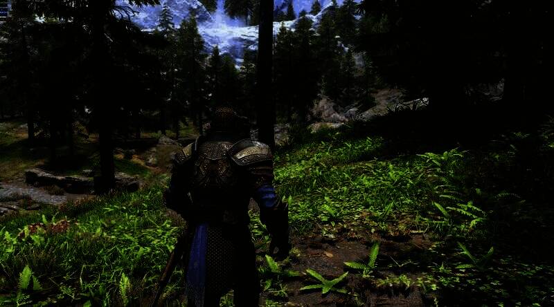 《上古卷轴5：天际》在英伟达RTX 5090显卡上运行画面