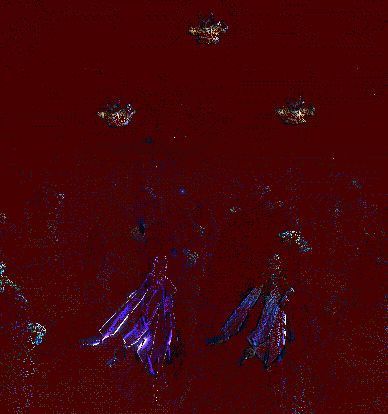 恶身魔意展示动态图