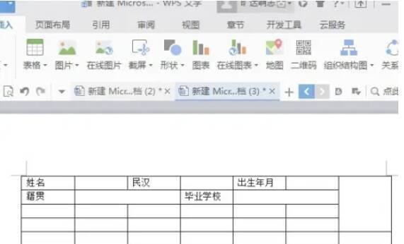 输入简历内容操作示意图片