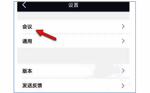 Zoom设置菜单中的会议选项页面