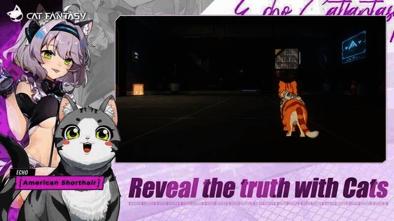 《猫之城》游戏截图6