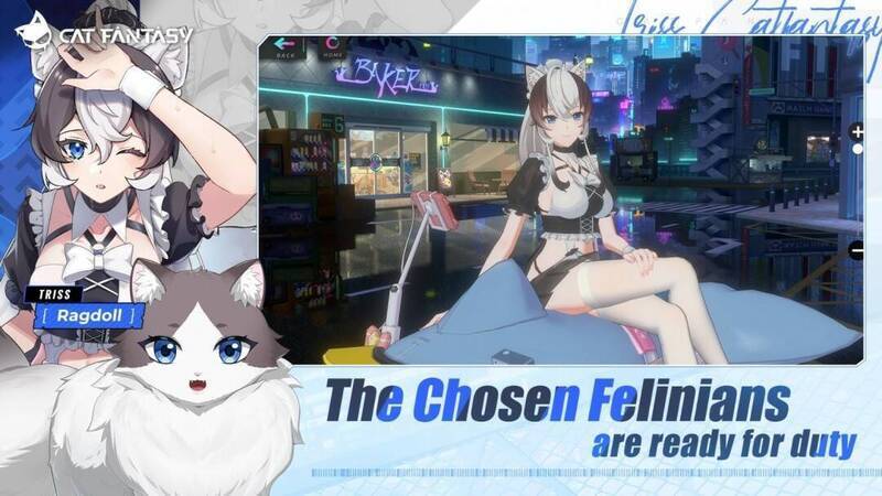 《猫之城》游戏截图8