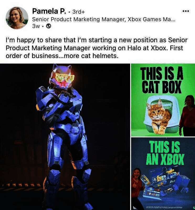 Pamela P相关配图