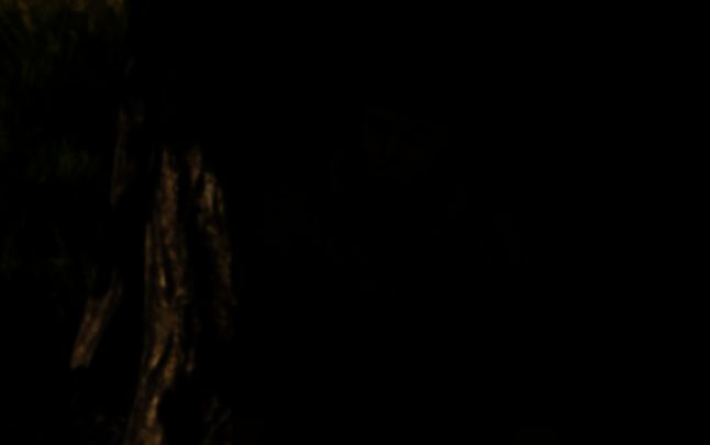 《天国：拯救2》修复湖中之斧相关画面