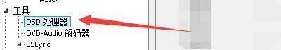 参数选项窗口中DSD处理器选项图片