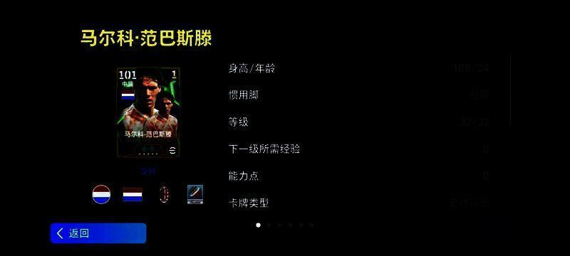 范巴斯滕相关图片1