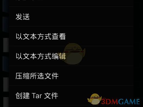 选择以文本形式编辑系统文件界面图片