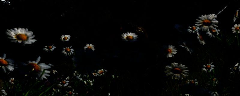 《天国：拯救2》相关截图