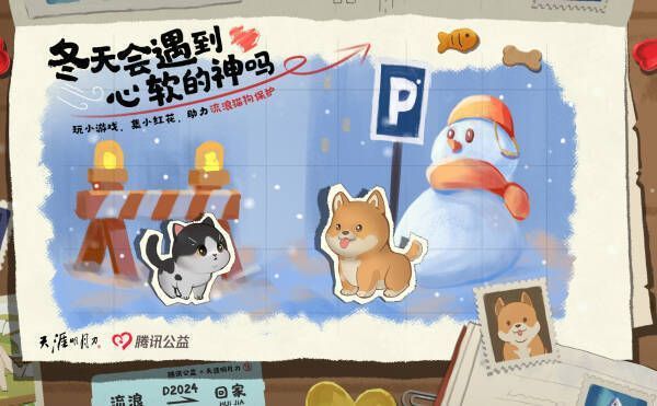 流浪猫狗公益活动画面