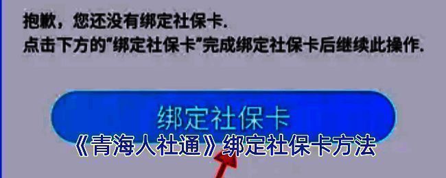 青海人社通 APP 相关页面示例图1