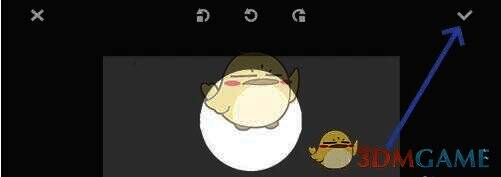 万龙觉醒完成头像更换确认图