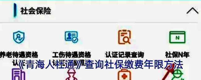 青海人社通社保查询相关界面示例图1