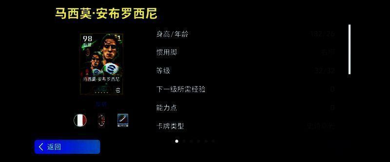 安布罗西尼相关图片1