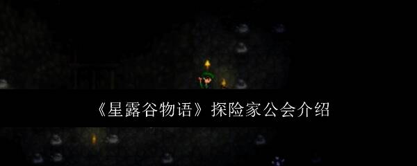 星露谷物语探险家公会相关图片1
