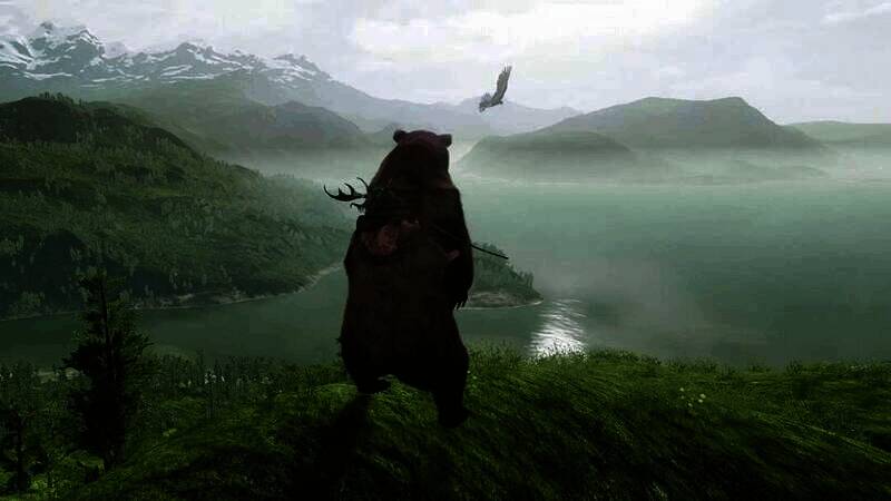 《Wild》相关图片