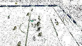 卡恩在赛场表现的动态图片