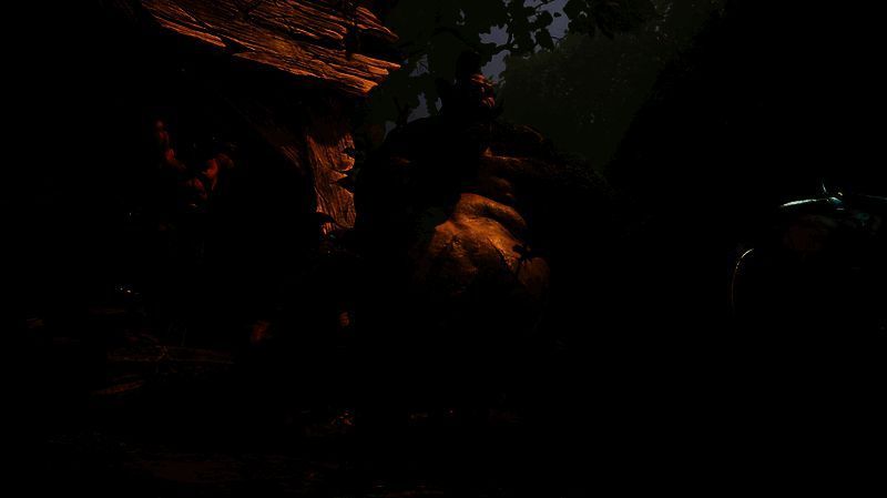 Chris Kaleiki相关图片3