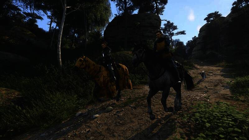 关于汉斯·卡彭成年时间的说明