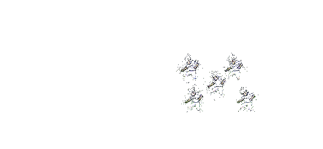 卡鲁伊奥义展示动图