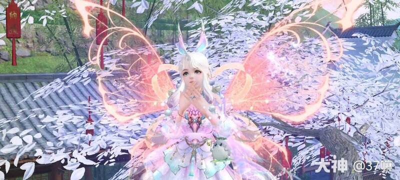 庄生梦蝶羽翼搭配图3