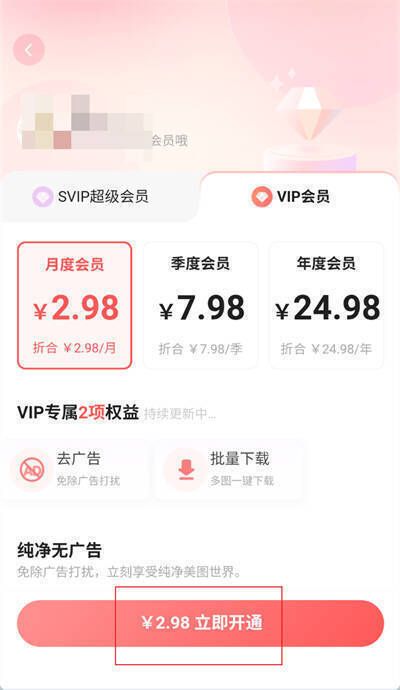 堆糖 APP 会员开通类型选择界面图