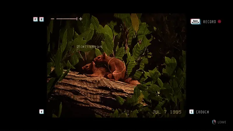 《失落的记录：绽放与愤怒》松鼠交配位置相关图片