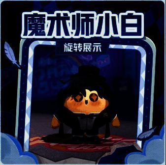 魔术师小白外观展示图
