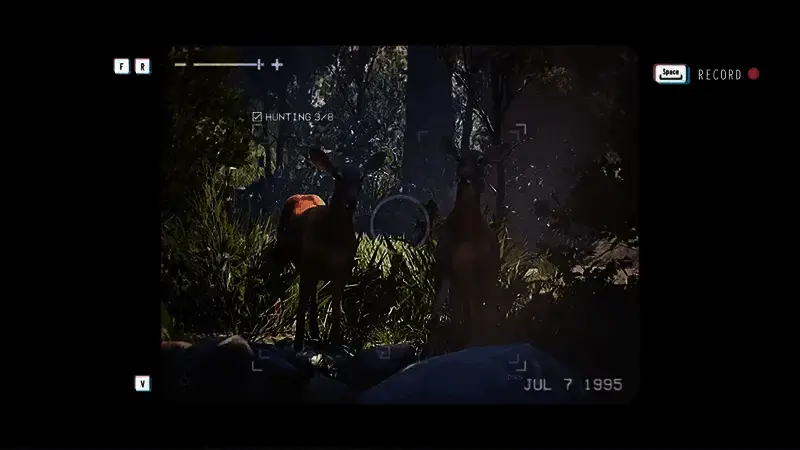 《失落的记录：绽放与愤怒》中池塘边的画面