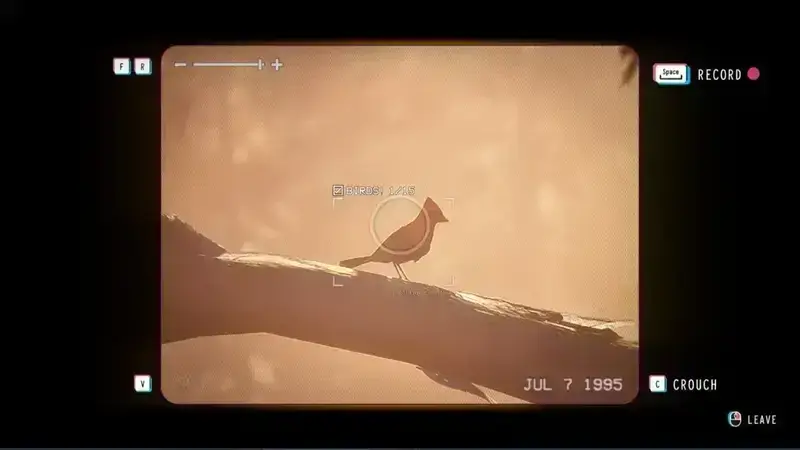 《失落的记录：绽放与愤怒》中北部红衣主教位置示意画面