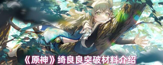 原神绮良良相关图片