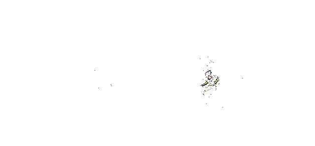 奥摩伊使用云流·三日月斩的动图