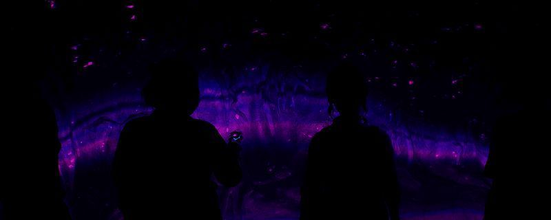 《失落的记录：绽放与愤怒》期望章节相关画面1