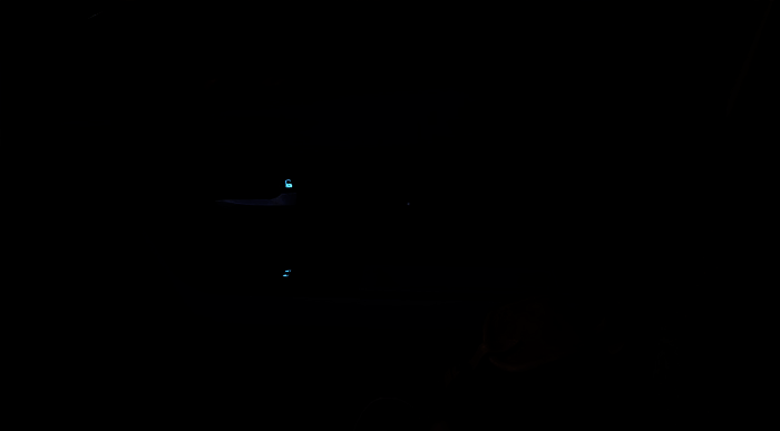 《失落的记录：绽放与愤怒》期望章节猫名选择画面