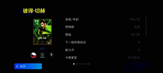 切赫精彩瞬间图片 1