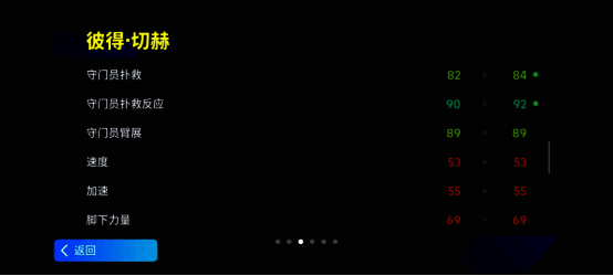 切赫精彩瞬间图片 6