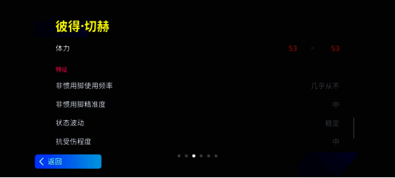 切赫精彩瞬间图片 8