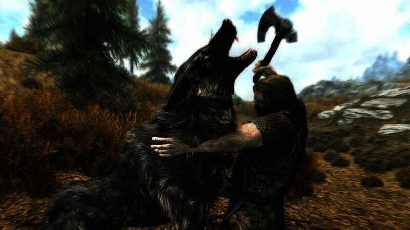 《上古卷轴5:天际》相关图片