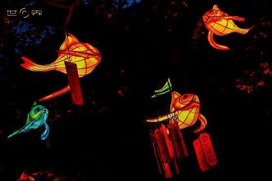 丰云野展区现场图片