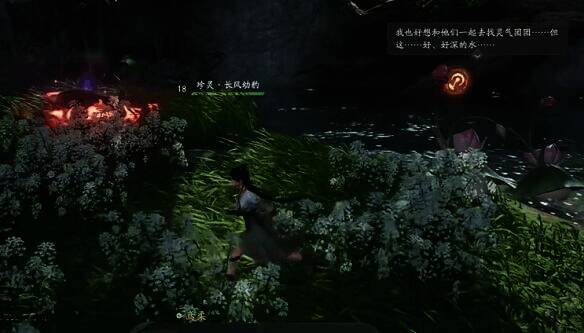 大树下宝箱图片