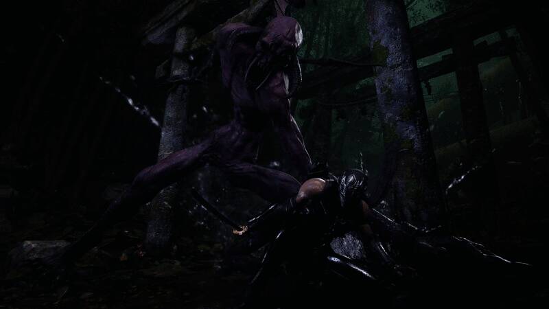 《忍者龙剑传4》相关图片2