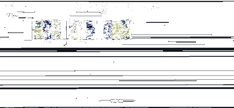《全面憨憨战争模拟器》游戏动图11
