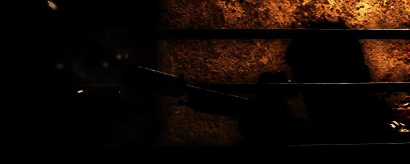 《狙击精英：抵抗》游戏画面