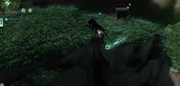 踩木板靠近鸟拿云携1的画面