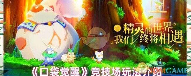 《口袋觉醒》竞技场相关配图1