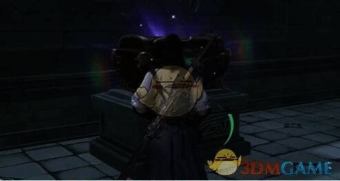 放两块石块在龟背上拿箱子画面