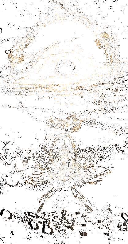 土系修炼室动态展示