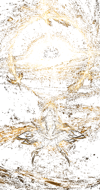 金系修炼室动态展示