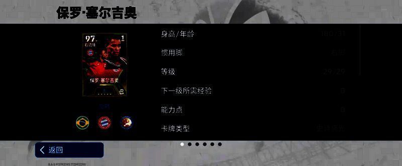 保罗·塞尔吉奥相关图片1