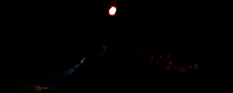 《野兽快跑》游戏相关画面