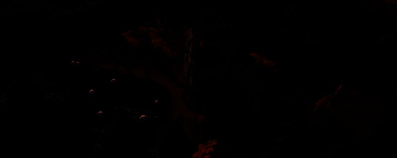 《奠基》捕猎点相关图片